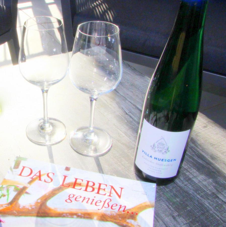 Mosel-Loggia - Luxusapartment -Terrass - Klimaanlage 트라벤트라바흐 외부 사진